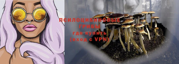прущая мука Абдулино